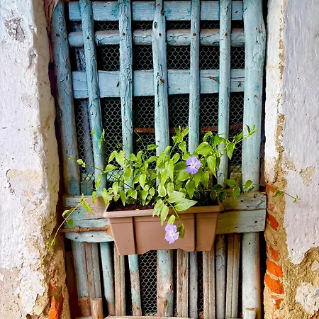 Hébergement de vacances Il Nido Su Stresa