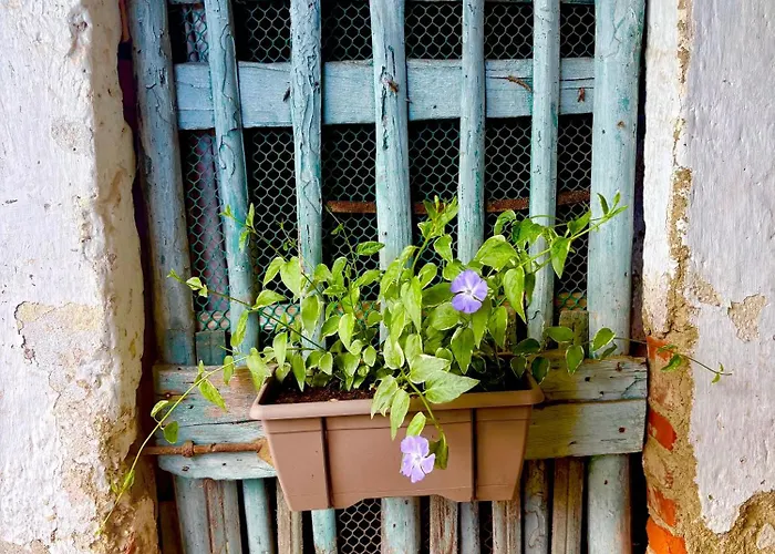 Holiday home Il Nido Su Stresa